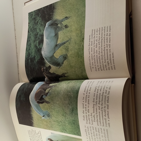 The Complete Book of  the Horse  hardcover  99 - Picture 5 of 5